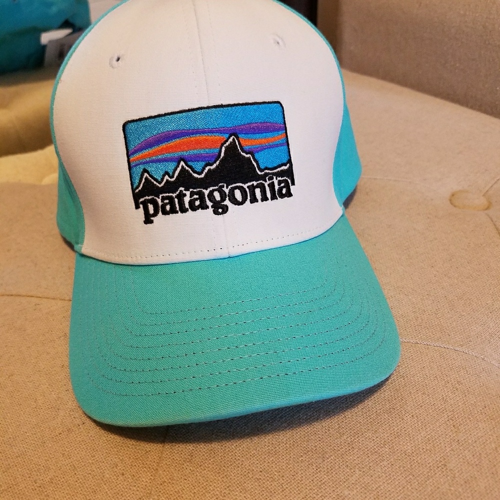 Patagonia Trucker Hat